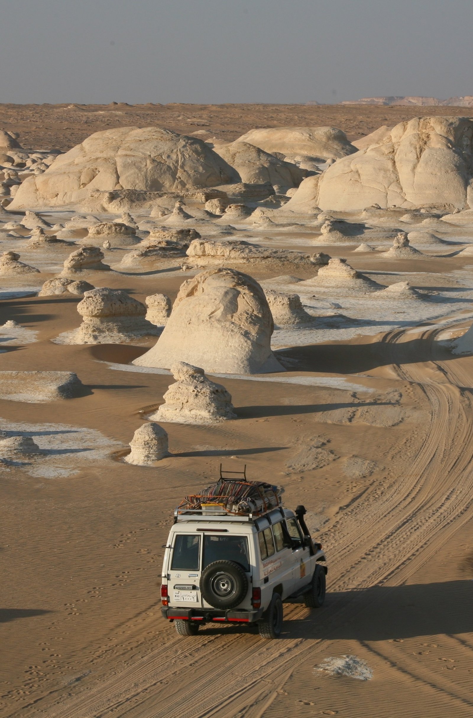 Car rental